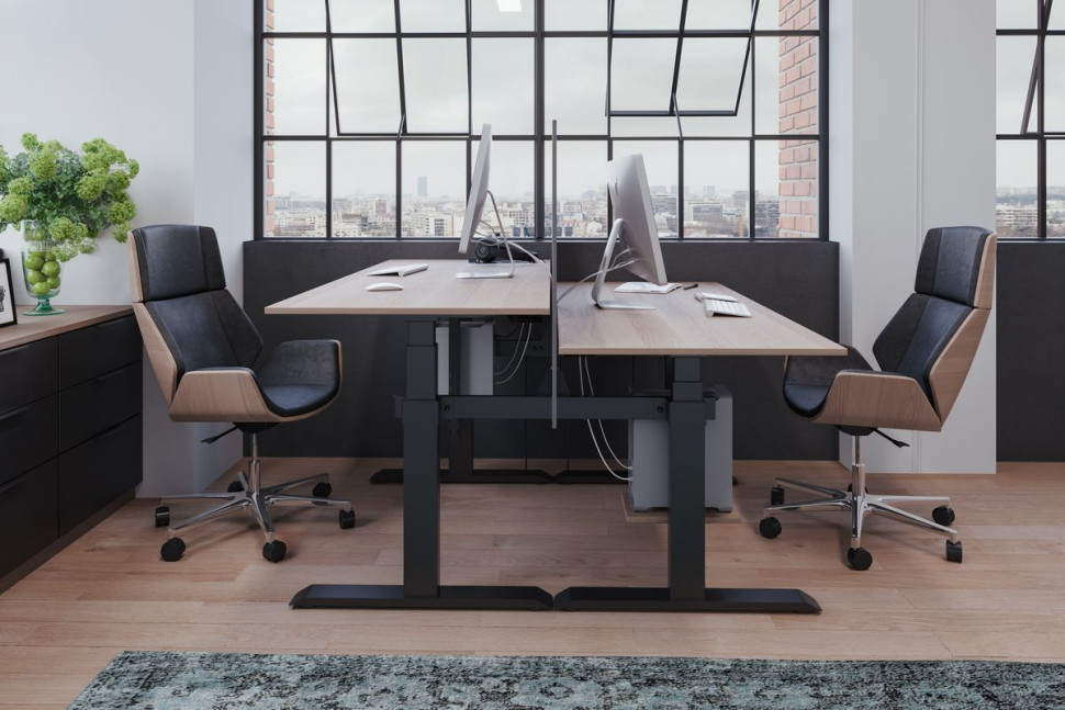 Stelaże Futuro oddzielone przegrodą