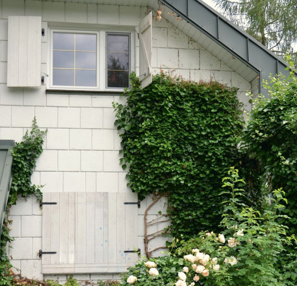 Drewniane okiennice ze świerka syberyjskiego