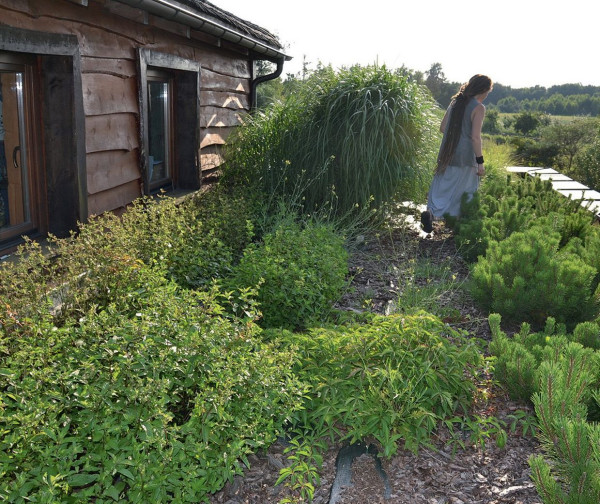 Zielony dach ma powierzchnię 155 m2 i można po nim spacerować