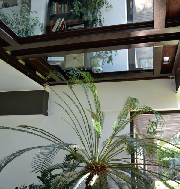 Szklany strop nad ogrodem zimowym