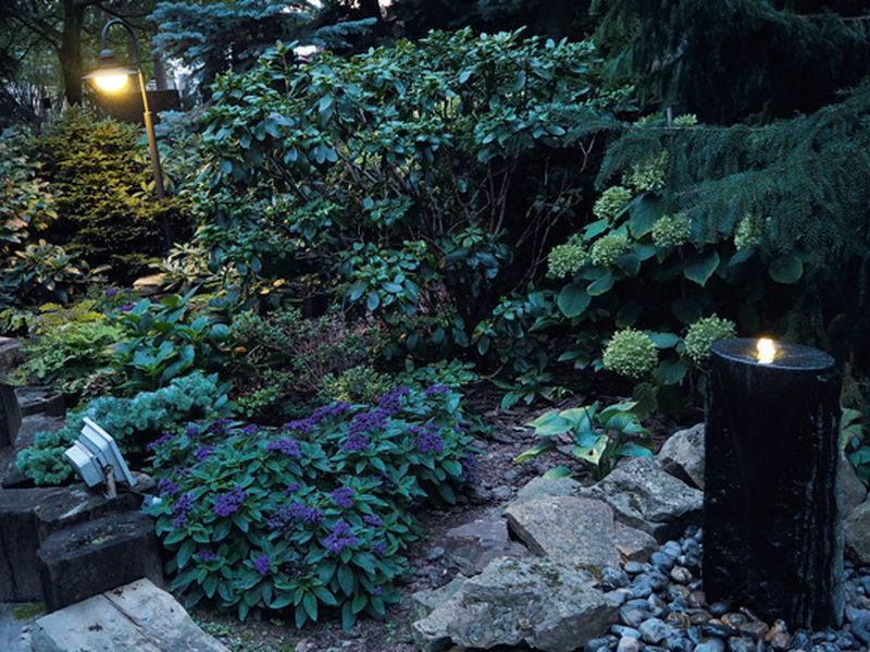 Reflektorkiem (stojącym na ziemi) podświetlono wybrane rośliny