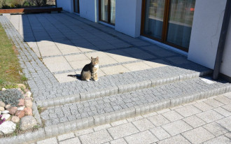 Taras w kształcie trapezu zwiększa koszty!