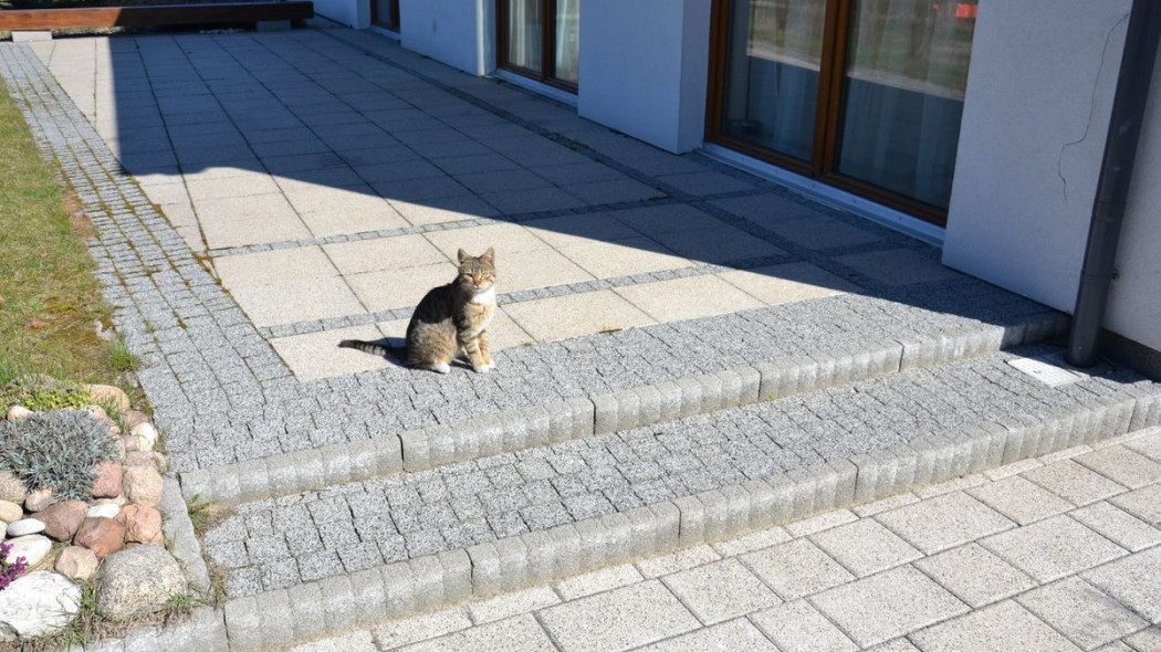 Taras w kształcie trapezu zwiększa koszty!