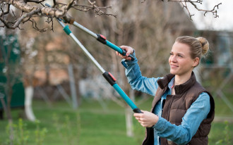 Jak profesjonalnie przyciąć drzewka na wiosnę, żeby owocowały?
