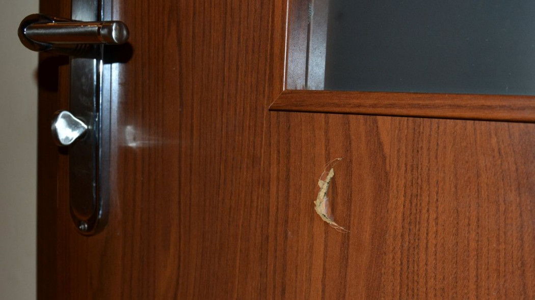 Drzwi z płyty drewnopochodnej nieodporne na psie pazury