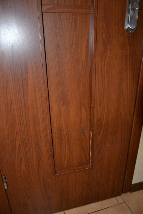 Psy właścicieli niszczą laminat na skrzydłach