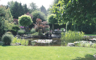 Czym się kierować wybierając kształt i wielkość oczka wodnego?