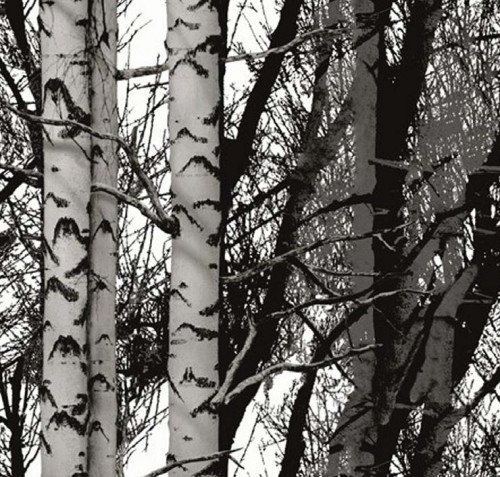 Folie w rolkach mogą przedstawiać motywy nawiązujące do natury