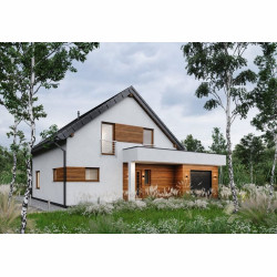 Dom z poddaszem Puenta