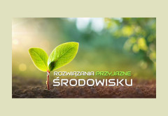 Palniki do kotłów olejowych - który wybrać?