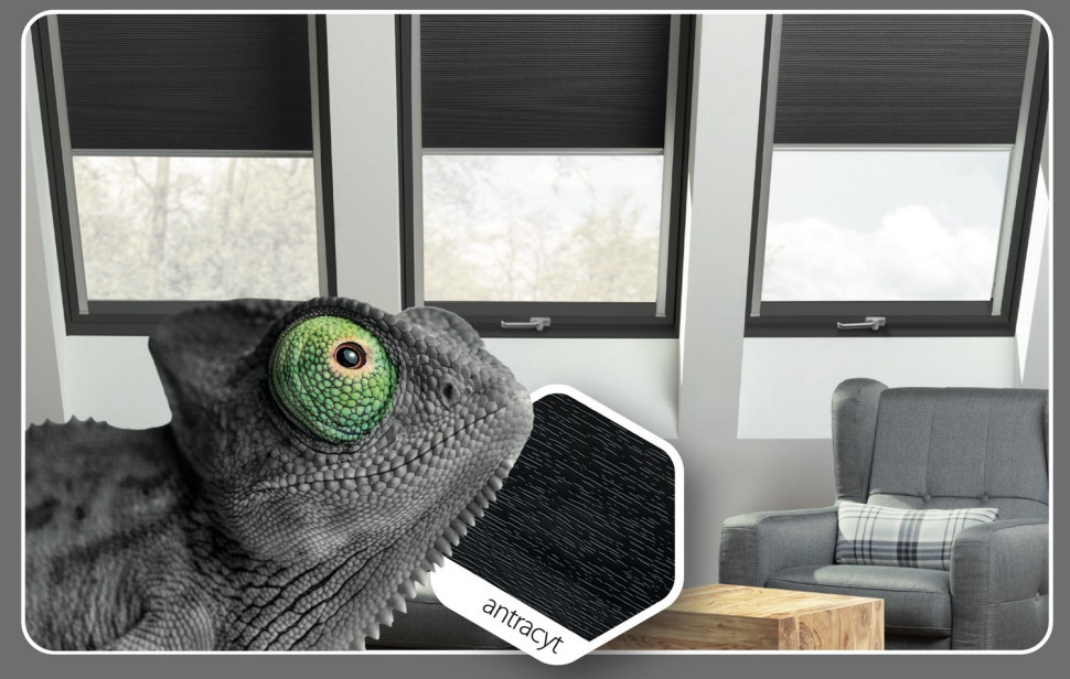 Okna dachowe Fakro w kolorze antracyt