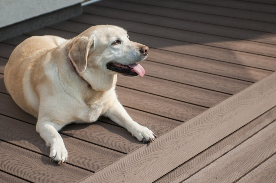 Tarasy z desek kompozytowych Gardin Natur