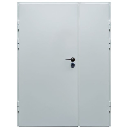 Drzwi antywłamaniowe zewnętrzne DL1.4/2 DRAGON