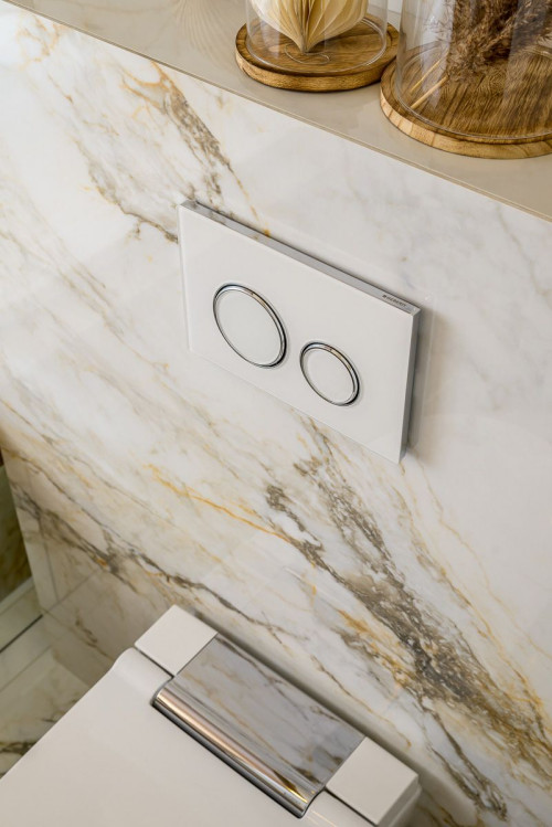 Przyciski do spłukiwania toalety Geberit