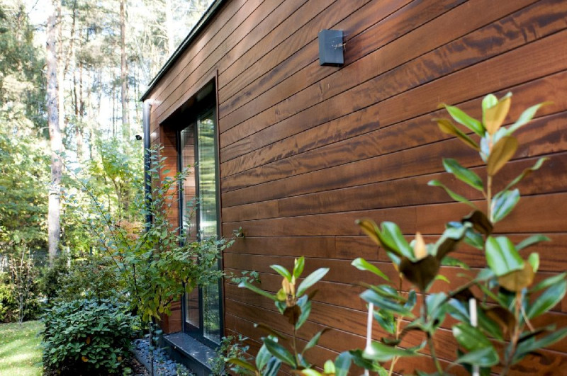 Okoume to drewno o wyjątkowej estetyce, wytrzymałe i uniwersalne