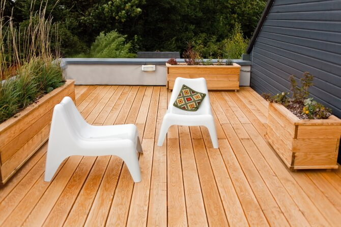 Modrzew syberyjski jest jednym z najtwardszych gatunków drewna