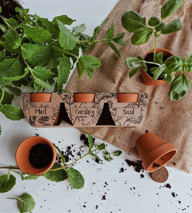 Mieszanki kwiatów jednorocznych i wieloletnich od ROBYG zawierają nasiona aż 41 gatunków roślin