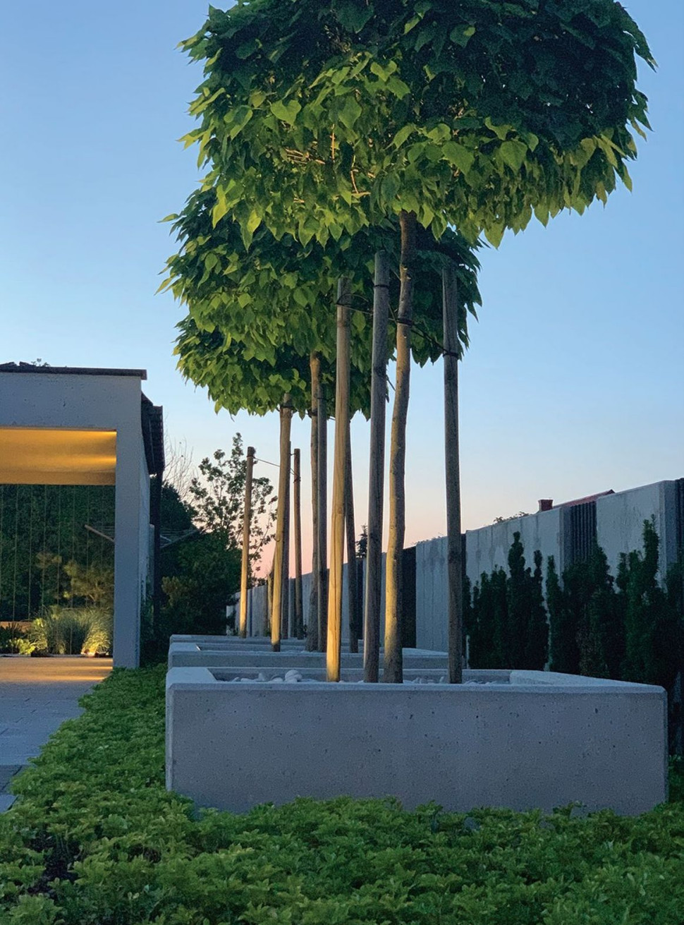 Ogrodzenie wylewane z żelbetu. W strefie wjazdowej - ciąg obszernych donic, w których posadzono surmie bignoniowe odmiany Nana szczepione na pniu