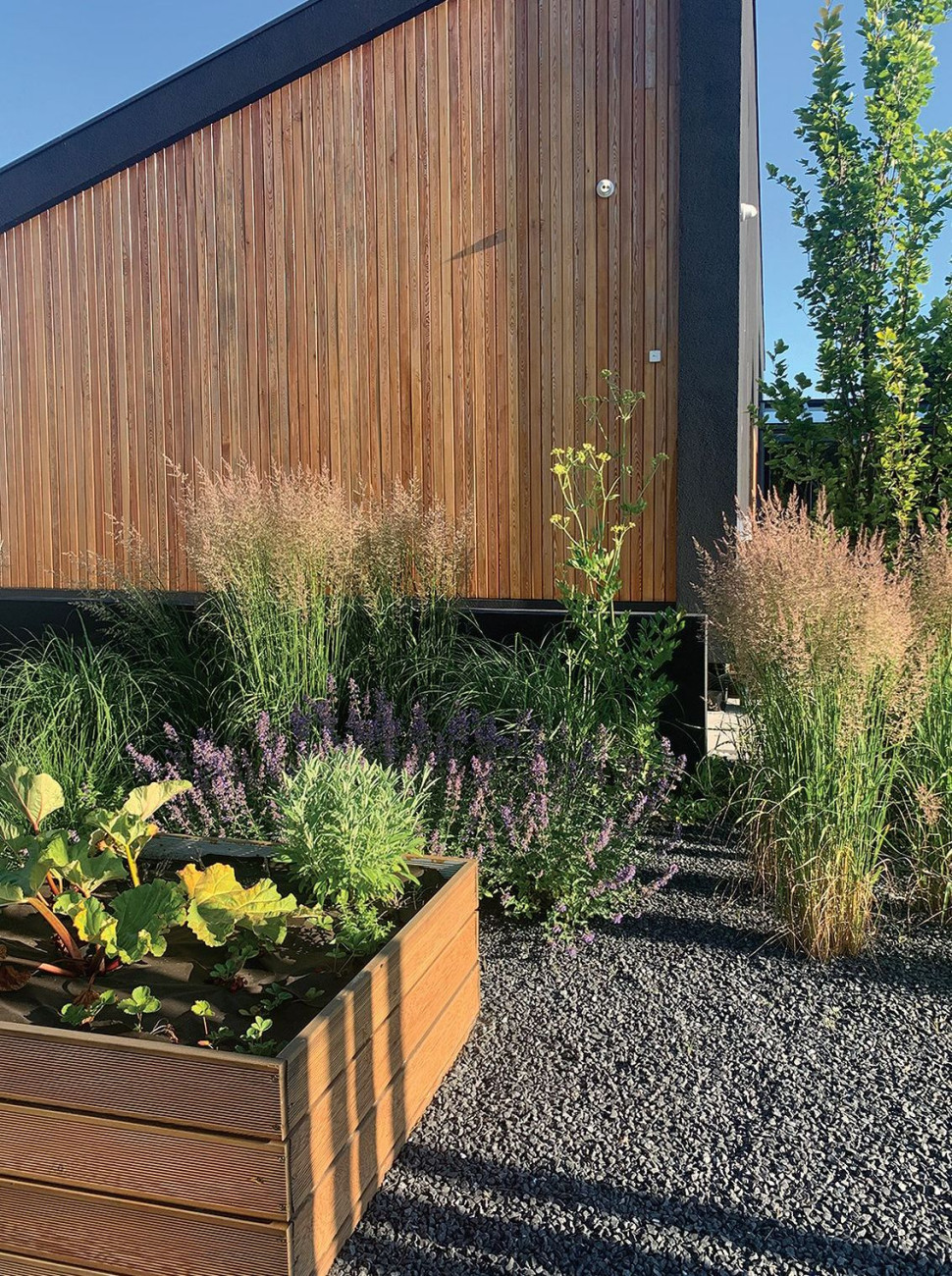 Do wykończenia z modrzewia syberyjskiego (elewacji i tarasu), autorka projektu dopasowała skrzynię z drewna, w której właścicielka urządziła miniwarzywnik