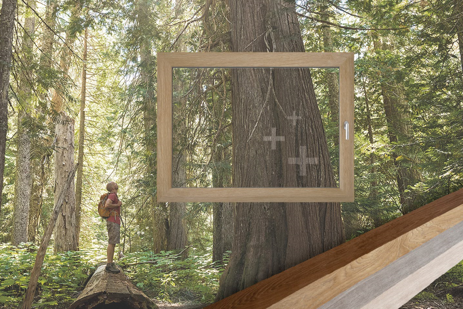 Woodec to nowa generacja drewnopodobnych struktur dekoracyjnych w ofercie Aluplast