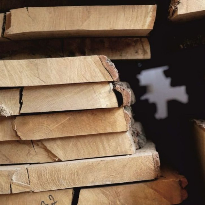 Tarcica liściasta dębowa