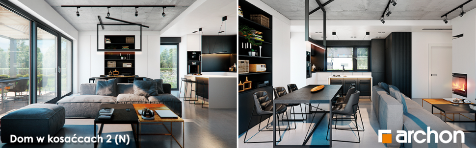 Dom w kosaćcach 2 (N) - wnętrze