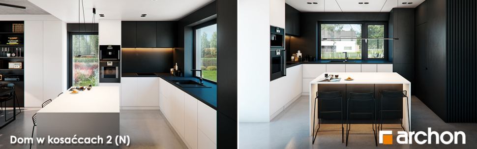 Dom w kosaćcach 2 (N) - wnętrze