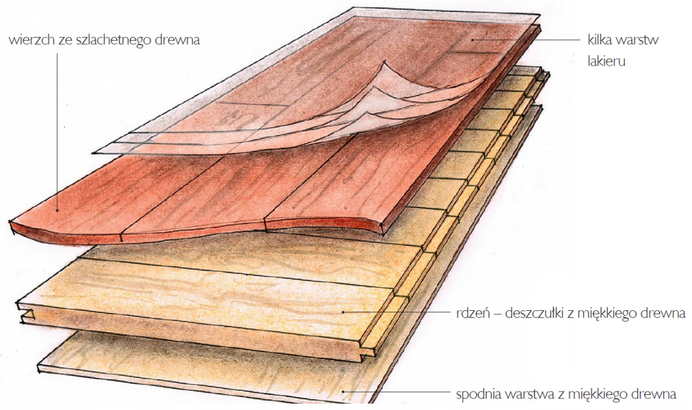 Schemat: Warstwowa budowa panelu drewnianego