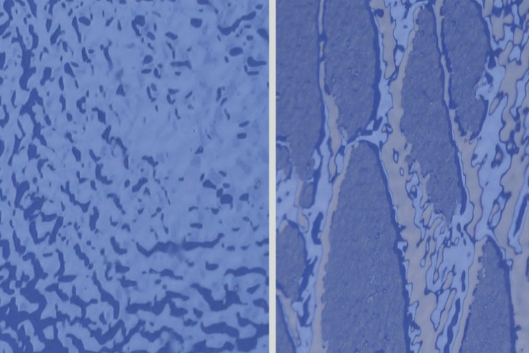 Farba standardowa i StoColor Dryonic (po prawej)