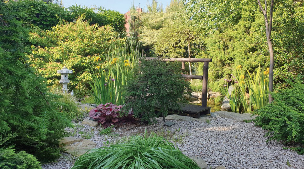 Z chińskiego mostu z balustradą można podziwiać kolorowe karpie koi