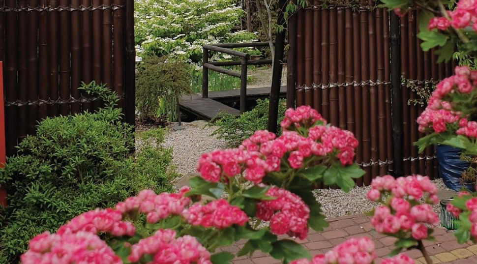 Widok od strony utwardzonego parkingu na bramę Torii i wewnętrzne ogrodzenie wykonane z grubych łodyg bambusa