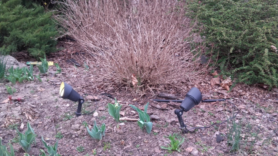 Oświetlenie w ogrodzie - reflektorki z ostrzem