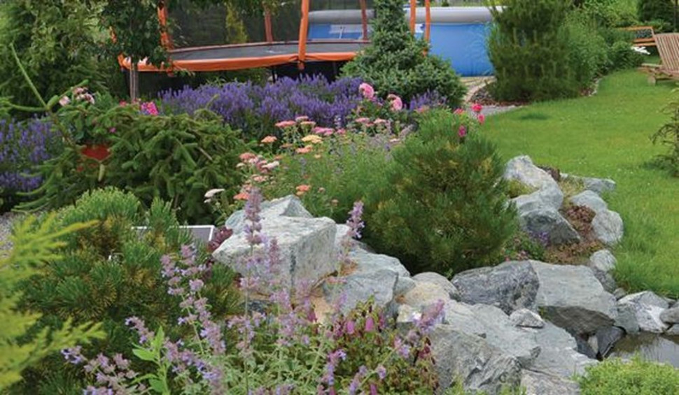 Basen i trampolina, rośliny w ogrodzie