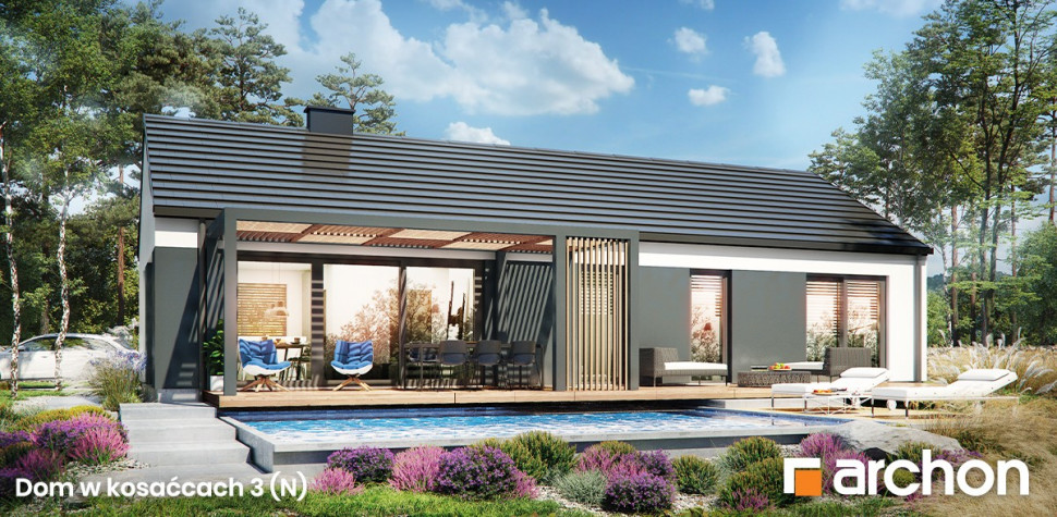 Domu w kosaćcach 3 (N)