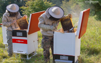 Pasieka ekologiczna Viessmann - już po pierwszym miodobraniu