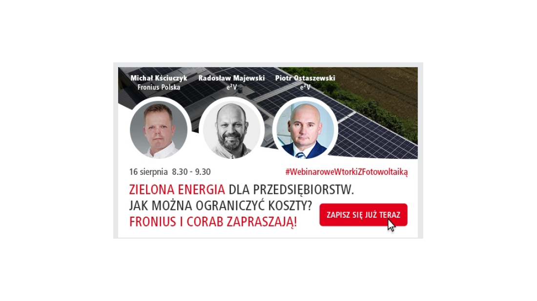 Zielona energia dla przedsiębiorstw. Jak firma może ograniczyć koszty?