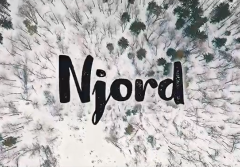 LuxDecor Njord - impregnat do elewacji drewnianych