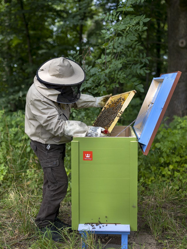 Pasieka Tikkurili na Warmii