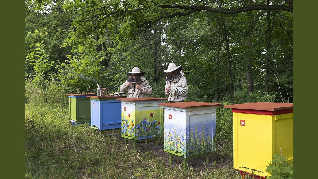 Tikkurila wspiera fundację Pszczoła Musi Być