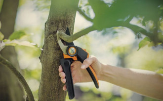 Jak prawidłowo naostrzyć sekator?