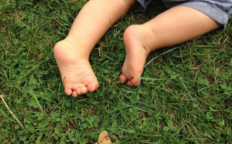 Jak zrobić ścieżkę sensoryczną w ogrodzie?