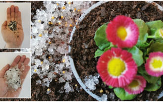 Czym jest hydrożel ogrodniczy i jak go stosować?