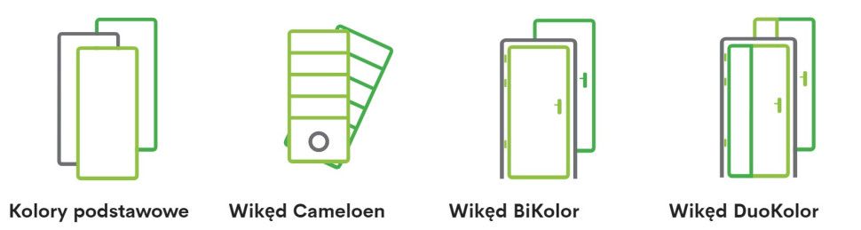 Kolory drzwi zewnętrznych