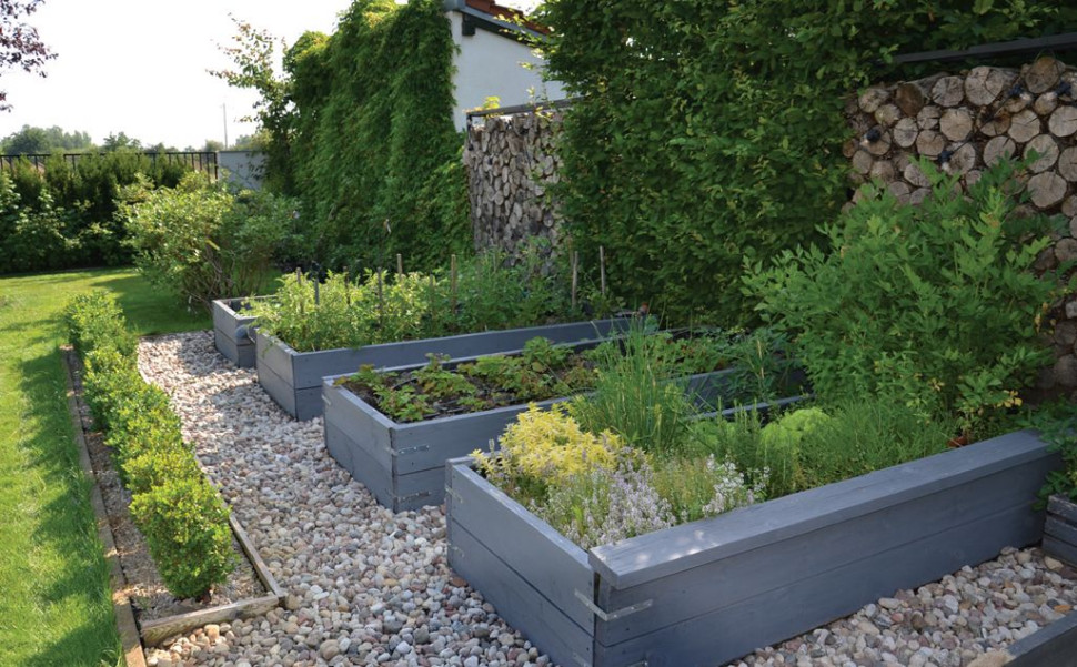 Podwyższone grządki w skrzyniach właściciele obsadzili ziołami, poziomkami, pomidorami