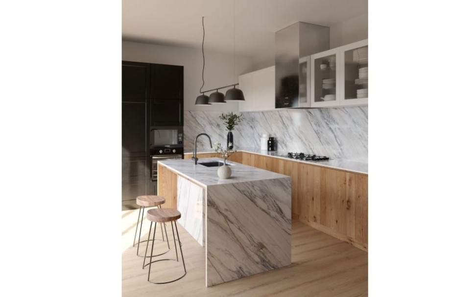 Charakteryzuje się gęstymi żyłami jasnych szarości.