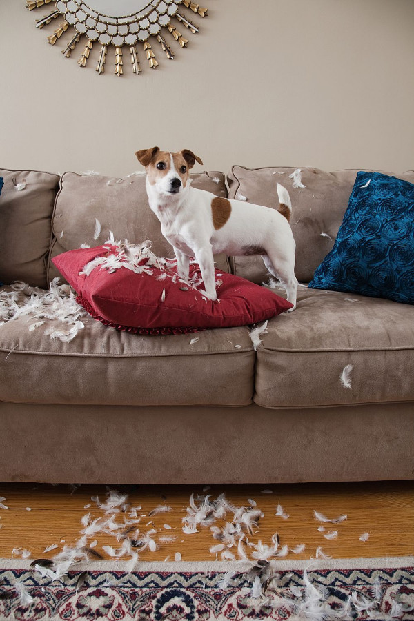 Kolor Cup of Coffee z palety Beckers Designer Colour