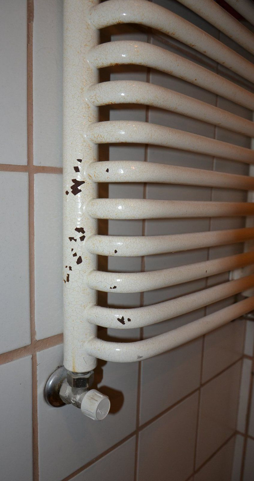 Grzejniki rurowe w łazienkach (odpada z nich powłoka podkładowa i lakiernicza)
