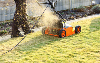 Ranking elektronarzędzi w ogrodnictwie