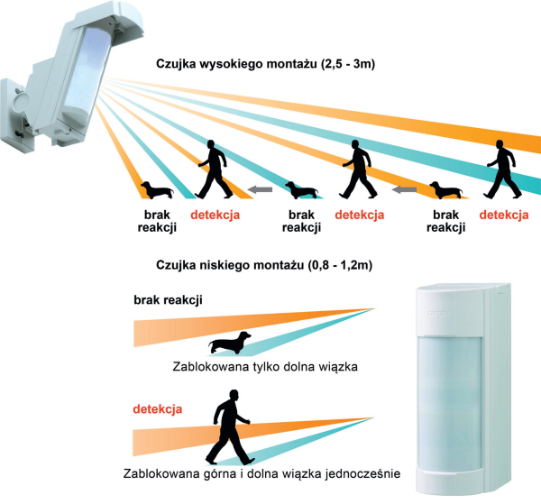 Schemat: Czujniki ruchu muszą być tak skonfigurowane, by nie reagowały na zwierzęta