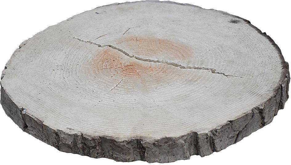 Płyty betonowe Pniak. fot. Chyżbet